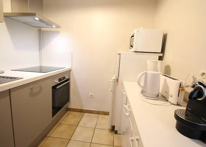 T3 Cosy Centre-ville Avec Parking Et Animaux Admis - Fr-1-313-228 Lägenhet