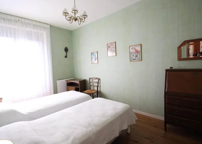 T3 Cosy Centre-ville Avec Parking Et Animaux Admis - Fr-1-313-228 *